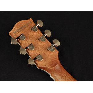 Richwood D-70-VA - Gitara Akustyczna