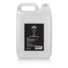 Chauvet DJ Geyser Juice 5l (Quick Dissipating Fluid) - Płyn Do Dymu