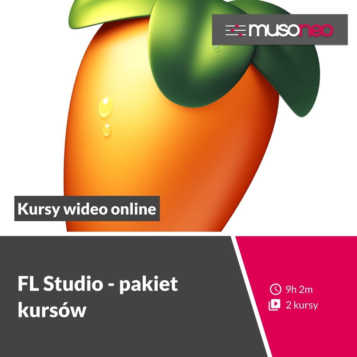 Musoneo - FL Studio - pakiet kursów (wersja elektroniczna)