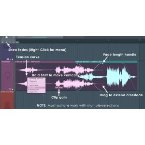 FL Studio 21 All Plugin Bundle (wersja elektroniczna)