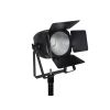 EUROLITE LED Theatre COB 100 RGB+WW - Reflektor Teatralny