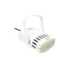 EUROLITE LED CSL-50 Spotlight - Naświetlacz LED