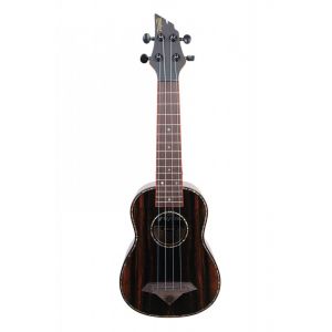 FLYCAT MYSTIC M222S - ukulele sopranowe + tuner Korg HA-40