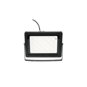 EUROLITE LED IP FL-100 SMD RGB - Reflektor Zewnętrzny