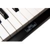 Orla PF-300 BK - pianino cyfrowe