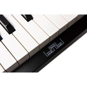 Orla PF-300 BK - pianino cyfrowe + statyw