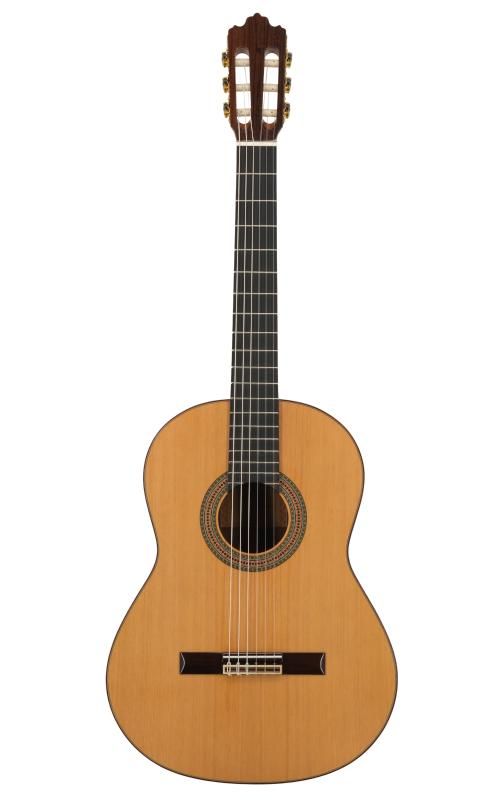 Prodipe Guitars Soloist 700 4/4 - gitara klasyczna