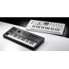 KORG MICROKORG 2 MWH LTD - Syntezator