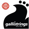 Galli LS-50 Light Special - struny do gitary akustycznej