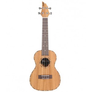 Flycat C40C - ukulele koncertowe + pokrowiec + stroik